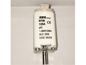 NT0 125A gL/gG 500V